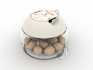 Couveuse Rcom 10 Eco

Nouvelle couveuse dans la gamme Rcom

Couveuse pour 10 oeufs de poules 

Thermostat analogique très précis réglable à l'aide d'un petit tournevis (fourni)
Retournement des oeufs manuel
Thermomètre à alcool
Réservoir d'eau extérieur pour ajouter de l'eau sans ouvrir la couveuse

Capacité de la couveuse :

10 oeufs de poules ou canards 
20 oeufs de faisans ou pintades 
25 oeufs de cailles ou perdrix grises 
5 oeufs d’oies 
20 oeufs de perruches
150 oeufs de perroquet

Puissance : 36 W - 220 V
Dimensions : 26 x 24 x 17 cm - Poids : 1,5 kg