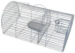 Nasse multiprise pour capturer les rats
1 entrée

Utilisation :
-Ouvrez la trappe et posez l'appât au milieu de la cage
-Fermez la nasse et posez-la dans un endroit fréquenté par les souris ou les rats
-Vérifiez tous les jours, et une fois prises les souris peuvent être relachées par la trappe dans un autre endroit.

Nasse à rats : 40 x 23 x 17 cm
Maille 13x13 mm