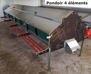 Pondoir central Collectavi 4 éléments

Composé de 4 éléments de 1,20 m pour un maximum de 448 poules (112 poules par élément)

Pondoir collectif avec ramassage central semi-automatique.
Vous avez un tapis central de ramassage et une manivelle pour récupérer les oeufs en bout de ligne des pondoirs.
Ce système permet de garder des oeufs propres et évite le piquage des oeufs

Fond du pondoir en astroturf facile à extraire et à nettoyer

Perchoirs de chaque côté du pondoir, relevables, ce qui permet de fermer l'accès aux pondoirs.

Table de ramassage relevable en bout de ligne pour faciliter le ramassage et éviter le perchage des poules.

Rideaux de chaque côté des pondoirs pour assombrir l'intérieur de vos pondoirs et améliorer la ponte

Parois des pondoirs en bois 18 mm d'épaisseur, le reste de la structure est en acier galvanisé, les 3 perchoirs de chaque côté sont en plastique.
Fond du pondoir avec grillage robuste et astroturf

Dimension totale des 4 éléments : 
Longueur : 4,80 m 
Largeur : 1,20 m (sans compter les perchoirs) - (1,80 m avec les perchoirs)
Hauteur des pieds : 60 cm