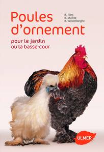 Vous souhaitez ajouter de la vie dans votre jardin en y installant quelques jolies poules ? Manger des oeufs fraîchement pondus ? Vous trouverez certainement parmi les races de poules dites « d’ornement » celle qui vous conviendra. Si ces poules ont en commun d’être particulièrement belles, chacune a sa propre personnalité.
Dans la première partie de ce livre, vous apprendrez comment vous en occuper simplement : installer un poulailler, les nourrir, obtenir des oeufs, élever des poussins.
Dans la seconde partie, vous découvrirez les principales races de poules et les critères qui permettent de bien les choisir. De l’Ardennaise à la Wyandotte, les 26 races de poules les plus belles et les plus intéressantes sont ici présentées et toutes superbement illustrées. 

Sommaire :

COMMENT BIEN LES CHOISIR?
- Les différentes tailles
- Les différentes couleurs
- La ponte

UNE BELLE VIE DE POULE
QUEL ESPACE POUR VOS POULES?
- Un poulailler pour des poules épanouies
- Différents types de poulailler
- Équiper l'abri
- Où installer le poulailler?

BIEN NOURRIR SES POULES
- Quel régime alimentaire?
- L'essentiel à savoir
- À quelle fréquence nourrir ses poules?

AVOIR DES OEUFS
- La fréquence de ponte
- L'aspect des oeufs
- Le régime spécial "pondeuse"
- Comment conserver les oeufs?

AVOIR DES POUSSINS
- Choisir le type d'incubation
- Conserver les oeufs à couver
- Quels soins pour les poules couveuses?
- La naissance des poussins
- L'incubation artificielle
- Le retournement des oeufs
- Le mirage des oeufs
- L'élevage de poussins sous éleveuse artificielle

BIEN CHOISIR SES POULES: LEURS CARACTÉRISTIQUES RACE PAR RACE

Auteur :

TIERS, MULLIEZ, VANDENBERGHE
Bruno Tiers, Benoît Mulliez, Bertrand Vandenberghe, spécialistes de l’élevage, vous font partager dans ce livre leur expérience et leur savoir-faire.

Ils ont regroupé dans "Poules d'ornement pour le jardin ou la basse-cour" leur savoir-faire technique en le rendant accessible à tous ceux qui n’ont jamais élevé de poules, tout en apportant les éléments les plus importants recherchés par les éleveurs amateurs.

2009 - 128 Pages 

2009 - 128 Pages 
