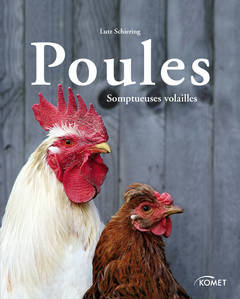 Caqueter, gratter, picorer, prendre un bain de sable et pondre des oeufs : depuis des millénaires, les poules sont utiles et donnent du plaisir aux hommes.

Ce livre apporte des réponses claires et documentées à toutes les questions sur cette somptueuse volaille qui est devenue l'emblème de la vie à la campagne.

Comment la poule sauvage est-elle devenue la poule domestique?
Quelles sont les races les plus répandues et quelles sont celles qui sont particulièrement menacées?

Cette excursion informative et divertissante dans le monde des coqs prétentieux, des poules farfelues et des jolis poussins est illustrée de nombreuses photos choisies avec affection, représenatnt la volaille multicolore sous toutes ses facettes

176 Pages - 2011
Illustré par 200 photos