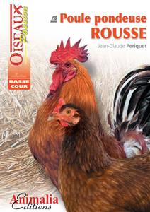 La Poule Pondeuse Rousse

Comment commencer un élevage de poules pondeuses rousses ? Quel nombre de poules ? Faut-il un coq avec vos poules ?
Ce petit guide s’adresse aux éleveurs amateurs et familiaux qui souhaitent élever des poules pour une production d’œufs 
et pour observer des animaux si proche de nous et en même temps si éloigné par leur mode de vie. 
L’auteur est LE spécialiste français des volailles et vous aide à concrétiser votre projet de poulailler dans votre jardin.

Les guides Oiseaux-Passion vous présentent les plus beaux oiseaux de basse-cour. 
Rédigé dans un style simple et agréable, illustré de nombreuses photos et de schémas en couleurs, chaque ouvrage propose des conseils pratiques et détaillés ainsi que de multiples trucs et astuces. 
Toutes les questions importantes sont abordées : l’origine, la biologie et le comportement de l’espèce ou de la race, la taille et l’aménagement du logement, l’installation technique, l’alimentation  et la prévention des maladies. 
Les auteurs, éleveurs chevronnés, vous dévoilent leurs secrets sur l’élevage, la reproduction et la sélection des races et des variétés.

64 pages - format 15 x 21 cm - couverture souple
Jean-Claude PERIQUET