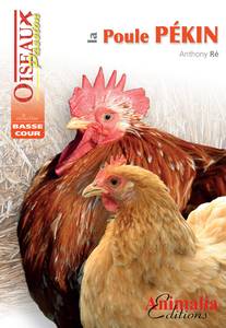 LIVRE SUR LES POULES - la poule pekin