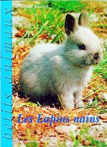 LIVRE SUR LES LAPINS